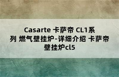 Casarte 卡萨帝 CL1系列 燃气壁挂炉-详细介绍 卡萨帝壁挂炉cl5